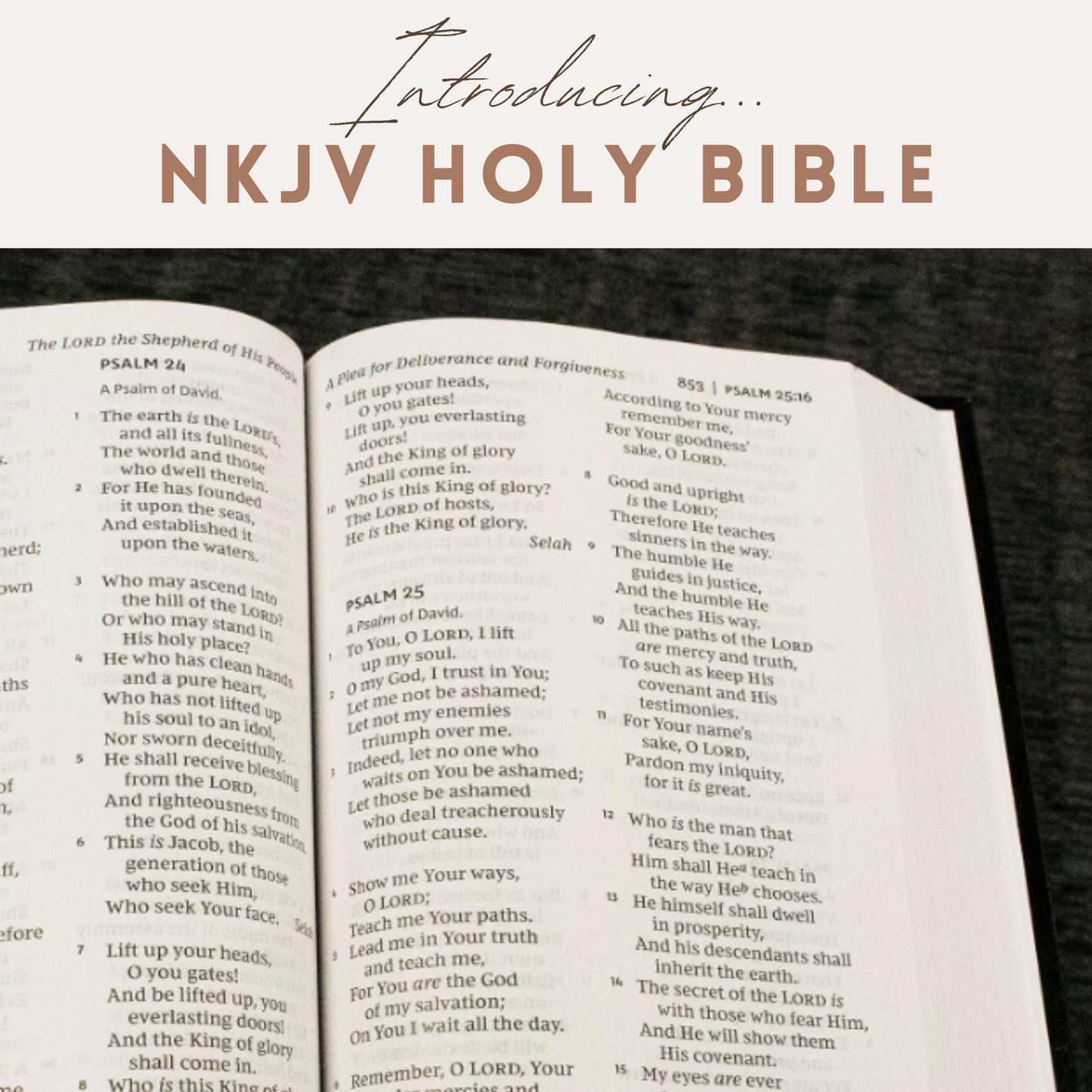 NKJV Holy Bible – Large Print, Black Hardcover (With Tabs Inserted)